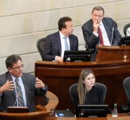 Se espera que en las plenarias de este miércoles, cuando el tema central es el presupuesto general de la nación para el 2019. Colprensa