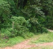 Las víctimas son Dayson Johan Díaz Bernal y José Arley Mora Arévalo. Cortesía