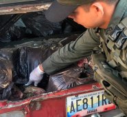 El alimento estaba en el maletero de un vehículo de placas venezolanas. Cortesía