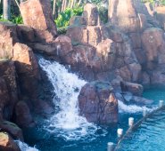 Esta es una nueva adición a la creciente oferta que en los últimos años ha realizado SeaWorld. Colprensa