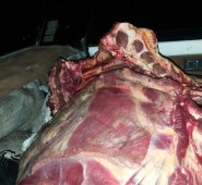 También resaltó que todas las autoridades deben trabajar en conjunto para hacer frente a la situación. Colprensa