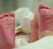 Internet / Referencial