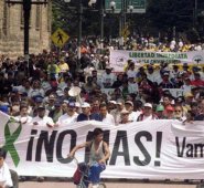 Varias personas se manifestaban por los hechos violentos en Mitú. Colprensa