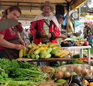 En la jornada de Pamplona participaron 86 productores. Roberto Ospino / La Opinión