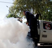 Existe una programación semanal para la desinsectación con motomochilas y maquinaria. Archivo