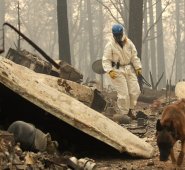 La mayoría de los desaparecidos reside en la población de Paradise, de 26.000 habitantes y que fue completamente engullida por las llamas. AFP