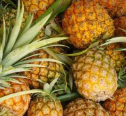 La economía de Aguabonita se centra en la producción agrícola, fundamentalmente de piña. Internet