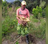 Roberto Ospino / La Opinión