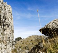 Un dato que no sorprende, dada el aumento de la cantidad de dióxido de carbono, metano y otros gases de efecto invernadero emitidos el año pasado en la atmósfera.  AFP