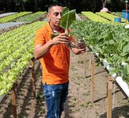 En una finca de La Parada en Villa del Rosario. Mario Franco / La Opinión