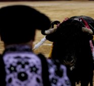 El próximo 26 de diciembre comienza la temporada taurina colombiana 2018-2019.
Archivo Colprensa