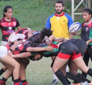 Los hijos bravos del Norte. Cortesía