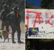 Los caninos rastrearon la zona donde apareció el grafiti alusivo a las extintas Farc. Por ahora, las autoridades adelantan las investigaciones para determinar los responsables.
Cristian Herrera / La Opinión