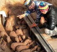 Restos hallados en una tumba en la provincia de Shandong. @PDChina