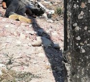 Los cadáveres de María Susana Reyes y Edinson Fabián Carrillo Contreras fueron hallados en esta trocha. Cortesía