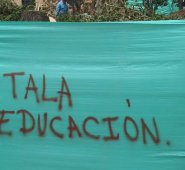 El 33.45% del territorio de Bochalema tiene diversos tipos de bosques estratégicos. Archivo