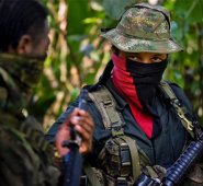 Los voceros de la OEI solicitaron también a la guerrilla la liberación de las personas secuestradas. Archivo