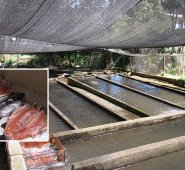 Se registran alzas en los productos entre el 18% y el 20%. Roberto Ospino