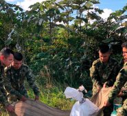 El reporte de inteligencia militar indica que este sujeto adelantó cursos de manejo de explosivos. Colprensa