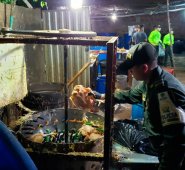 Los animales eran sometidos a un proceso de pigmentación y de inyección de agua. La Opinión