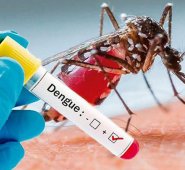 Es importante no automedicarse y acudir con un profesinal de salud.  Internet