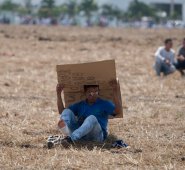 Algunos se resguardaron del sol con cajas, unos pocos aprovecharon para dormir el madrugonazo antes de que empezará la música, y hubo aquellos que ni las lesiones les impidió asistir. Juan Pablo Cohen