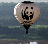 El grupo WWF financia "violentas fuerzas paramilitares" que han matado y torturado a gente en parques nacionales en Asia y África, según el sitio de información Buzzfeed. AFP