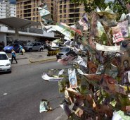 Los venezolanos decoran árboles con los billetes que se hunden sin freno, como resultado de la galopante inflación. AFP