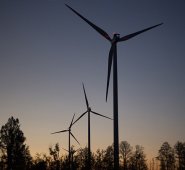 Según un Informe de Recursos Globales presentado por ONU Medio Ambiente. Pixabay / Referencial