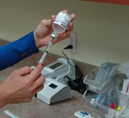 Pixabay / Referencial 