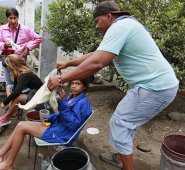 Mario Caicedo / La Opinión