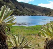 El 70 por ciento del macizo montañozo Santurbán pertenece a Norte de Santander. Archivo