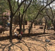 Orlando Carvajal / La Opinión 