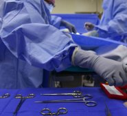 El dispositivo sería capaz de "capturar" células cancerígenas directamente del torrente sanguíneo, sin necesidad de recurrir a biopsias. Internet