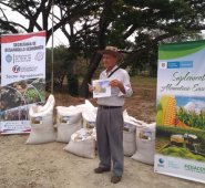 El programa fue operado a través de gremios del sector y articulado por los comités ganaderos regionales, secretarías de Agricultura departamental y las alcaldías. Archivo