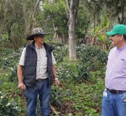 Se espera obtener seis mil kilos por hectárea, para un total de 1,7 millones kilos entre los 290 cafeteros.
Cortesía