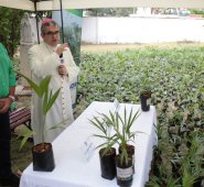 La campaña entre la Diócesis católica de Cúcuta y Corponor busca sembrar 30 mil palmas.
César Obando / La Opinión