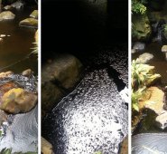 Ecopetrol rechazó estas acciones “que ponen en riesgo la integridad de las personas, generan graves consecuencias al medio ambiente, afectan el bienestar de las comunidades y el normal desarrollo de las actividades petroleras”. Tomada de Twitter @Ecopetrol_SA