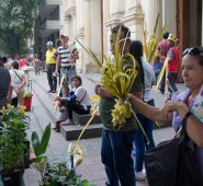 Este Domingo de Ramos en la afueras de la Catedral San José, la Palma de cera fue protagonista. Luis Alfredo Estévez