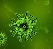 Antibióticos programables y hechos a medida para atacar solo las bacterias malas. Pixabay / Referencial