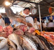 Luis Angarita vende pescado en la Nueva Sexta, en Cenabastos. Alfredo Estévez