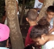 La imagen fue vista de manera tenue en un costado del árbol en la mañana de este Miércoles Santo, pero que a medida que avanzaba el día “la imagen se fue haciendo más nítida”. Colprensa