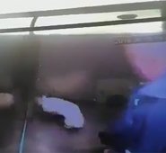 La Plataforma Alto divulgó un vídeo en el que se ve al hombre, cuya identidad y nacionalidad no ha sido divulgada, patear y golpear al animal. Captura de video