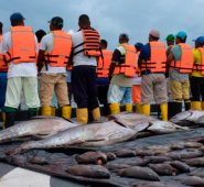 Detuvieron a los tripulantes y los subieron al buque ARC "7 de agosto", donde recibieron atención médica. Cortesía para El Colombiano