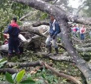 El hecho se registró este lunes en la mañana. La Opinión