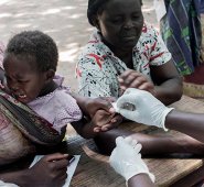 La Organización Mundial de la Salud (OMS) espera vacunar a 120.000 niños en cada uno de estos tres países para el año 2020. AFP