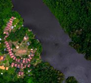 La deforestación en la Amazonia brasileña aumentó 54% en enero de 2019, según Imazon. AFP