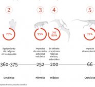 Más del 90% de los organismos que un día caminaron, nadaron, volaron o reptaron han desaparecido. AFP