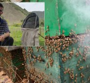 El proyecto productivo de Óscar Hernán Mora Jiménez se ejecuta en la vereda El Potrero del corregimiento Capitán Largo de Ábrego. Cortesía