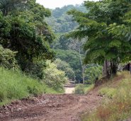 Mario Caicedo / La Opinión